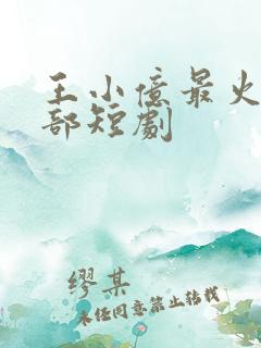 王小亿最火的十部短剧