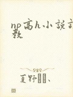 np高h小说调教