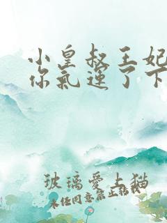 小皇叔王妃又薅你气运了下载