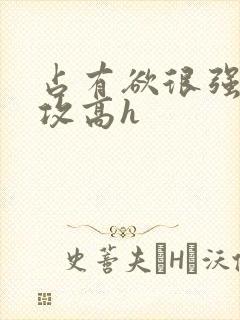 占有欲很强糙汉攻高h