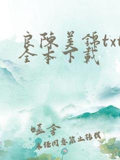 良陈美锦txt全本下载