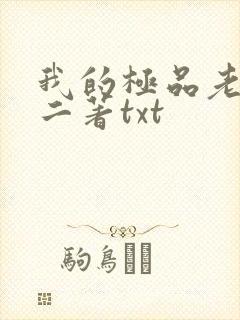我的极品老婆小二著txt