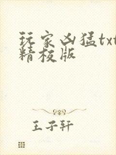 玩家凶猛txt精校版