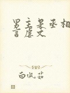 男主是丞相的古言虐文