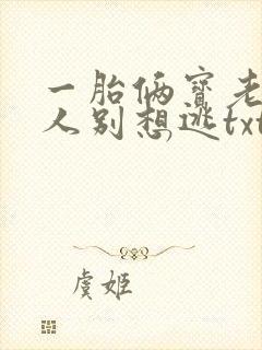 一胎俩宝老婆大人别想逃txt