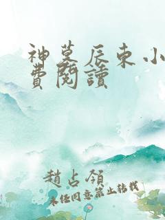 神墓辰东小说免费阅读
