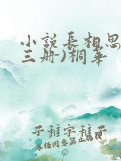 小说长相思(全三册)桐华