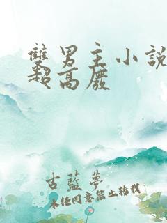 双男主小说车速超高废