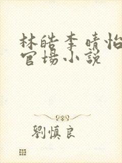 林皓李晴怡重生官场小说