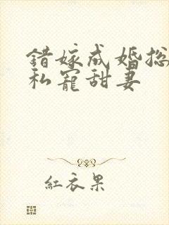 错嫁成婚总裁的私宠甜妻