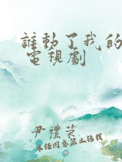 谁动了我的爱情 电视剧