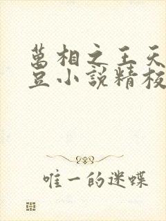 万相之王天蚕土豆小说精校版全集txt