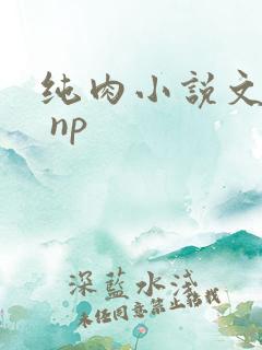 纯肉小说文高h np