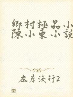 乡村极品小医仙陈小东小说在线阅读