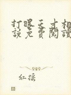 打眼天才相师小说免费阅读