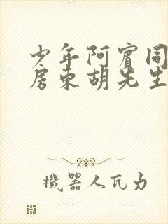 少年阿宾同人之房东胡先生txt
