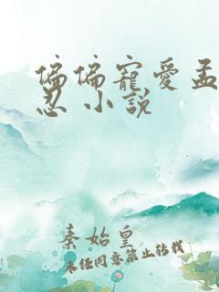 偏偏宠爱孟听江忍 小说