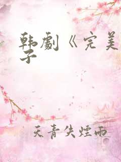 韩剧《完美的妻子