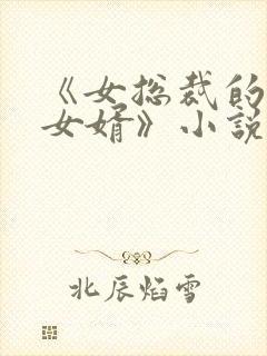 《女总裁的上门女婿》小说