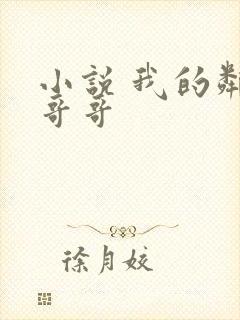 小说 我的邻家哥哥