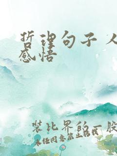 哲理句子 人生感悟