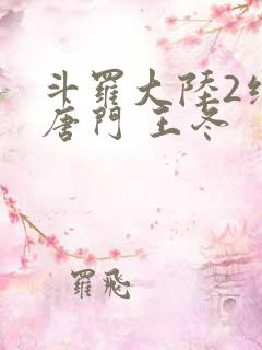 斗罗大陆2绝世唐门 王冬