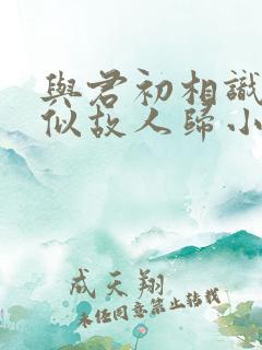 与君初相识·恰似故人归小说