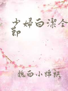 少妇白洁全文章节
