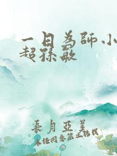 一日为师小说刘超孙敏