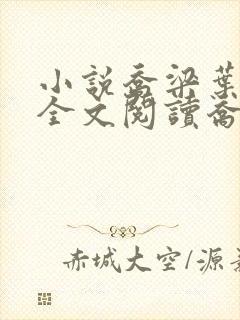 小说乔梁叶心仪全文阅读乔