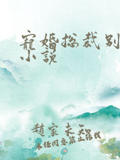 宠婚总裁别太坏小说