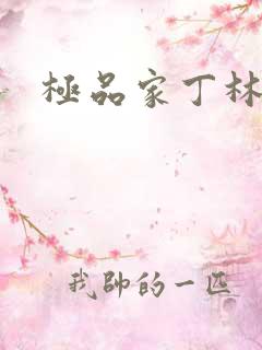 极品家丁林晚荣