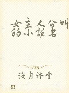 女主人公叫楚晴的小说名