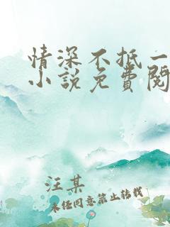 情深不抵一场错小说免费阅读全文