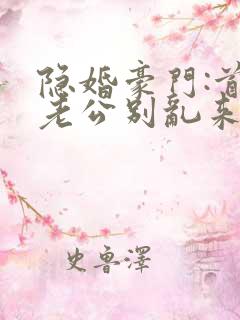 隐婚豪门:首席老公别乱来