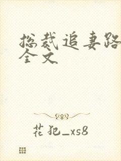 总裁追妻路漫漫全文