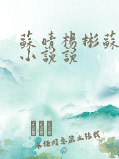 苏晴杨彬苏大明小说说