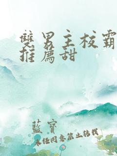 双男主校霸小说推荐甜