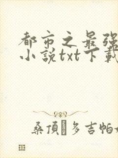 都市之最强狂兵小说txt下载