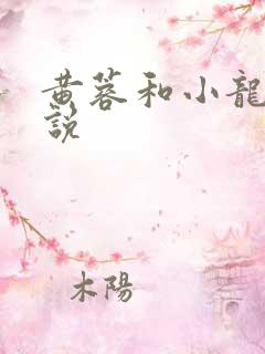 黄蓉和小龙女小说