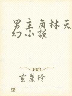 男主角林天的玄幻小说