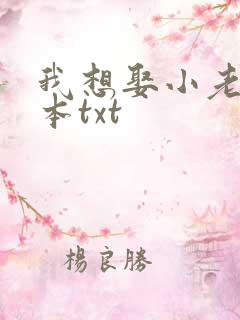 我想娶小老婆全本txt