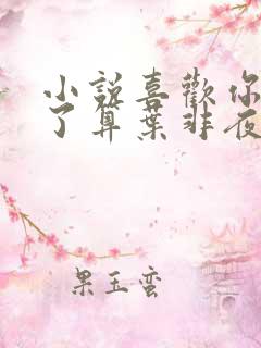 小说喜欢你我说了算叶非夜