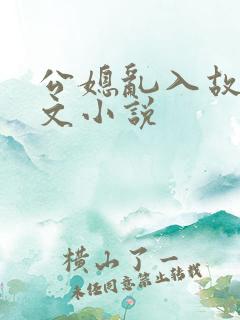 公媳乱入故事全文小说