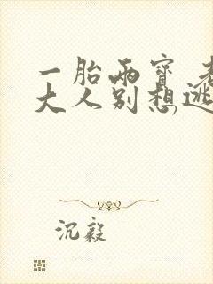 一胎两宝 老婆大人别想逃