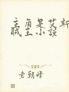 主角是艾斯的海贼王小说