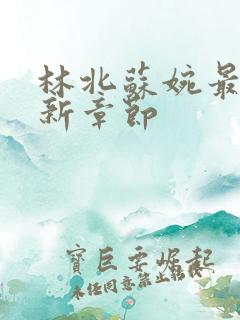 林北苏婉最新更新章节