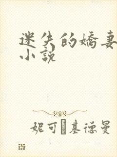 迷失的娇妻续写小说