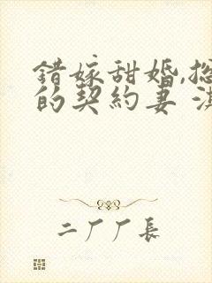错嫁甜婚,总裁的契约妻 淇沅