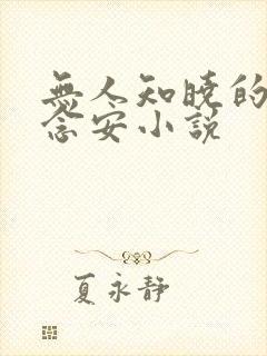 无人知晓的她苏念安小说